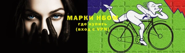 ешки Алексин
