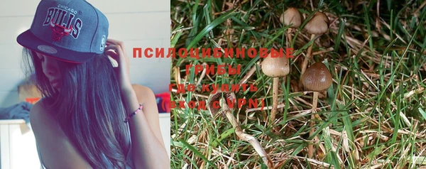 каннабис Алзамай