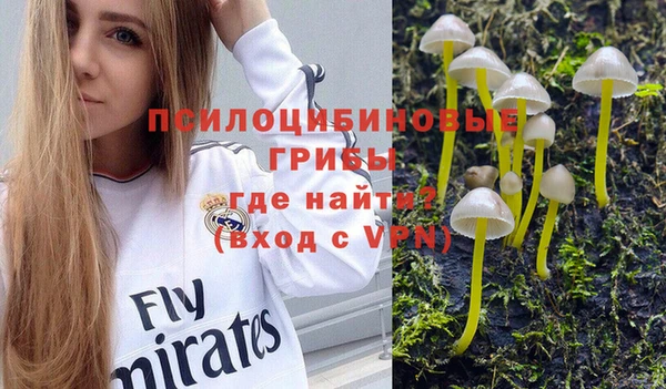каннабис Алзамай