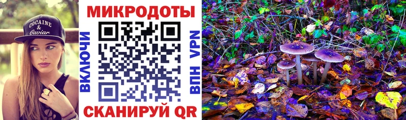 купить Бронницы Псилоцибиновые грибы Magic Shrooms